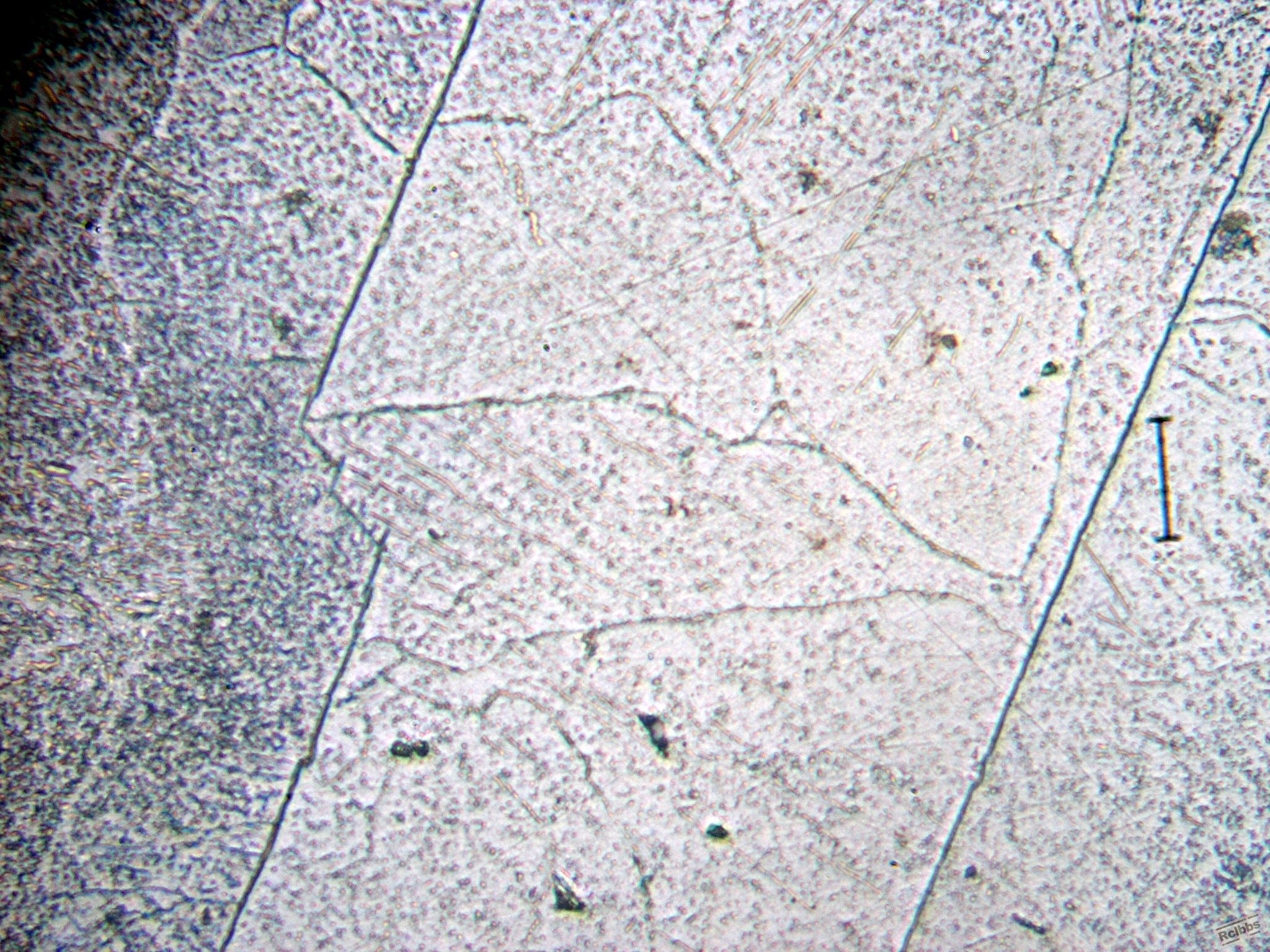P1011675.jpg