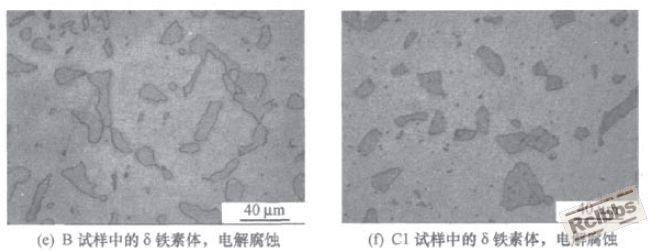 德尔塔铁素体6.jpg