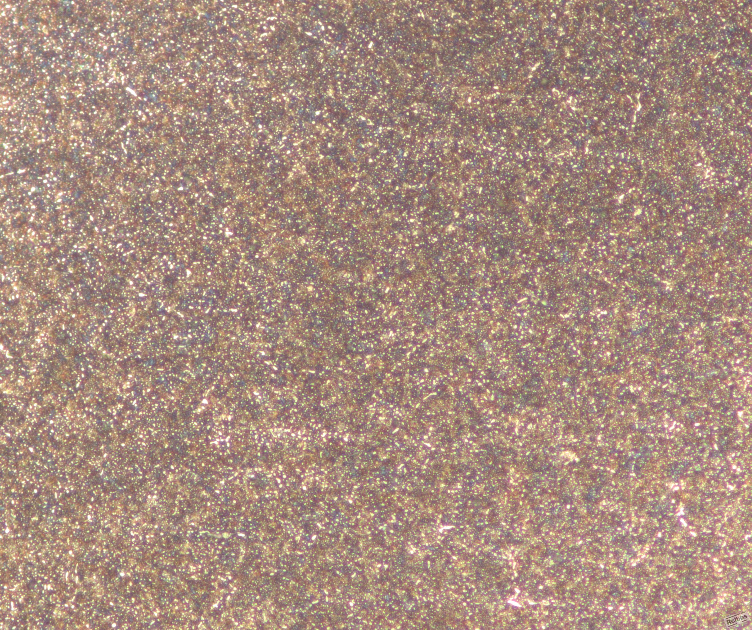 500x-2.jpg