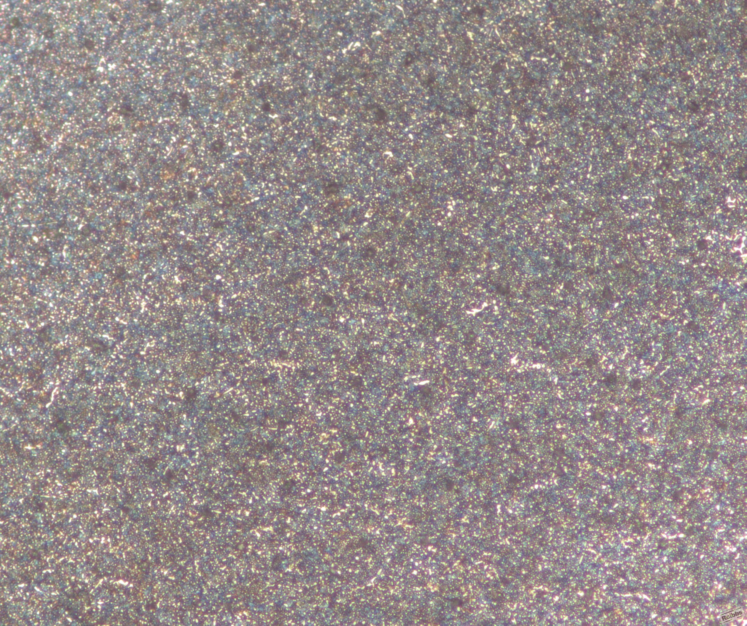 500x-3.jpg