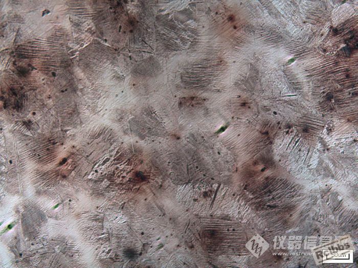 304不锈钢_看图王.jpg