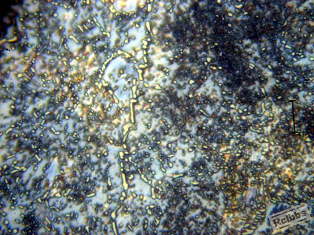 AP1011707.JPG