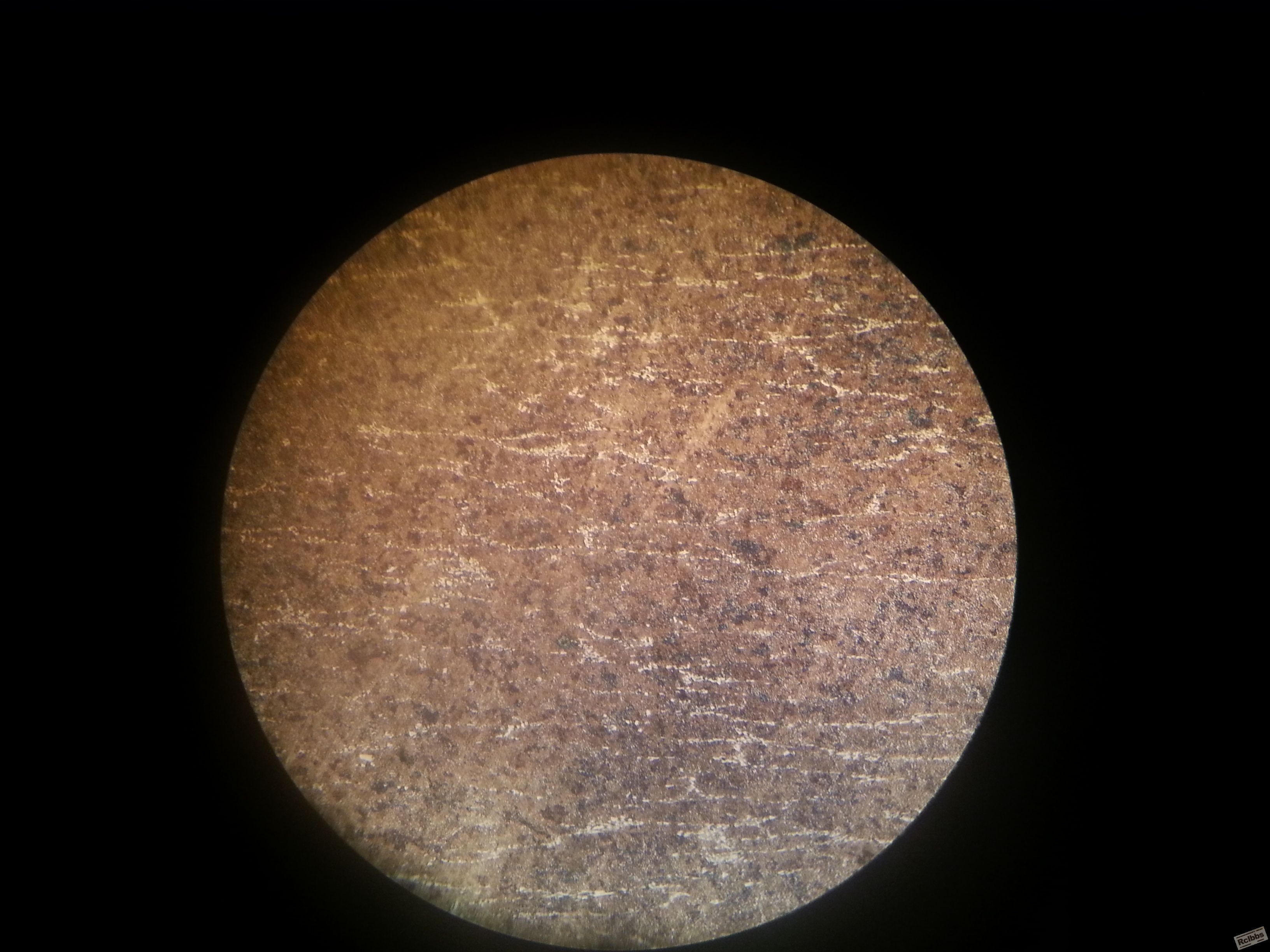 20141030_160916.jpg