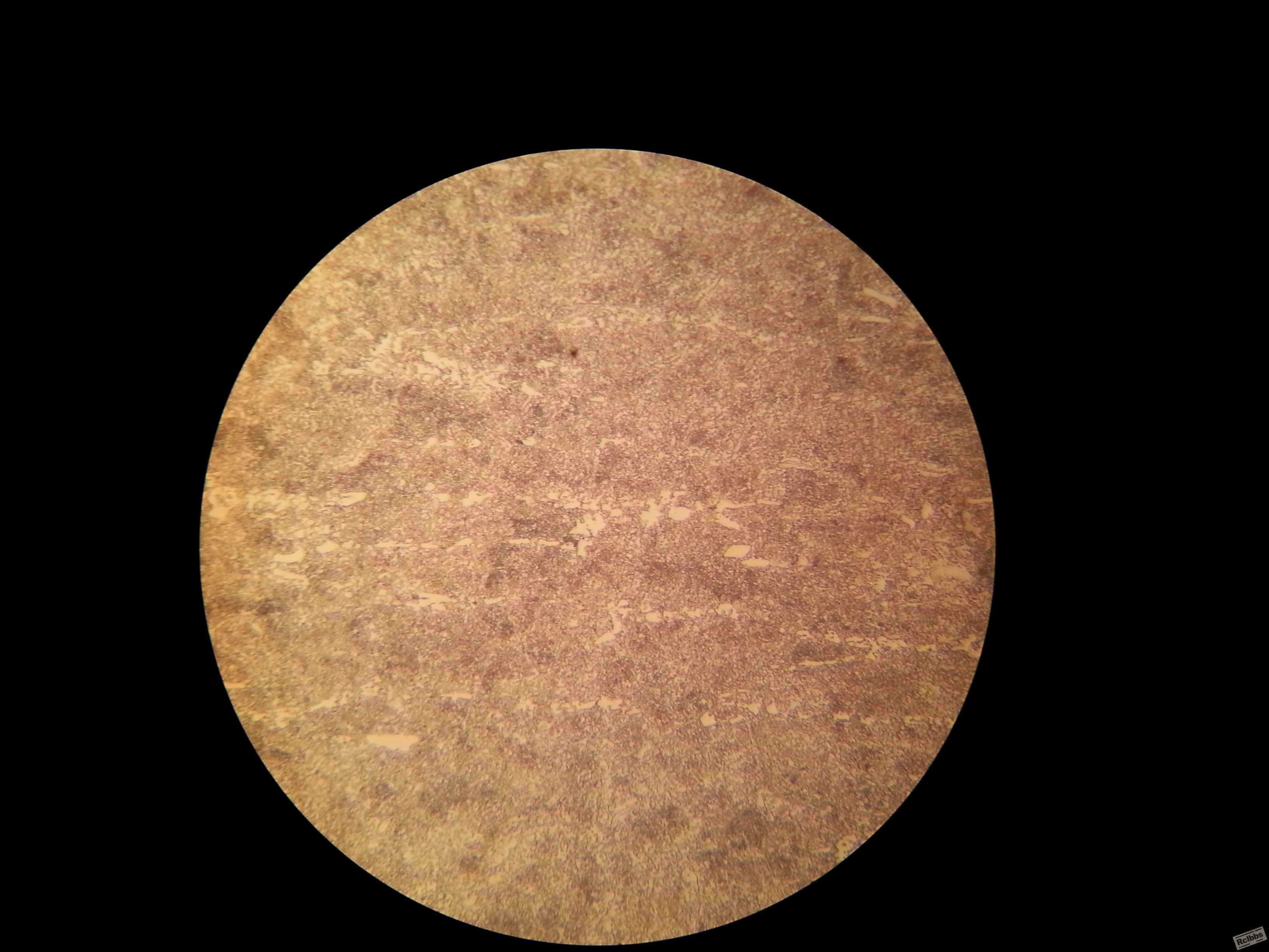 20141030_161153.jpg