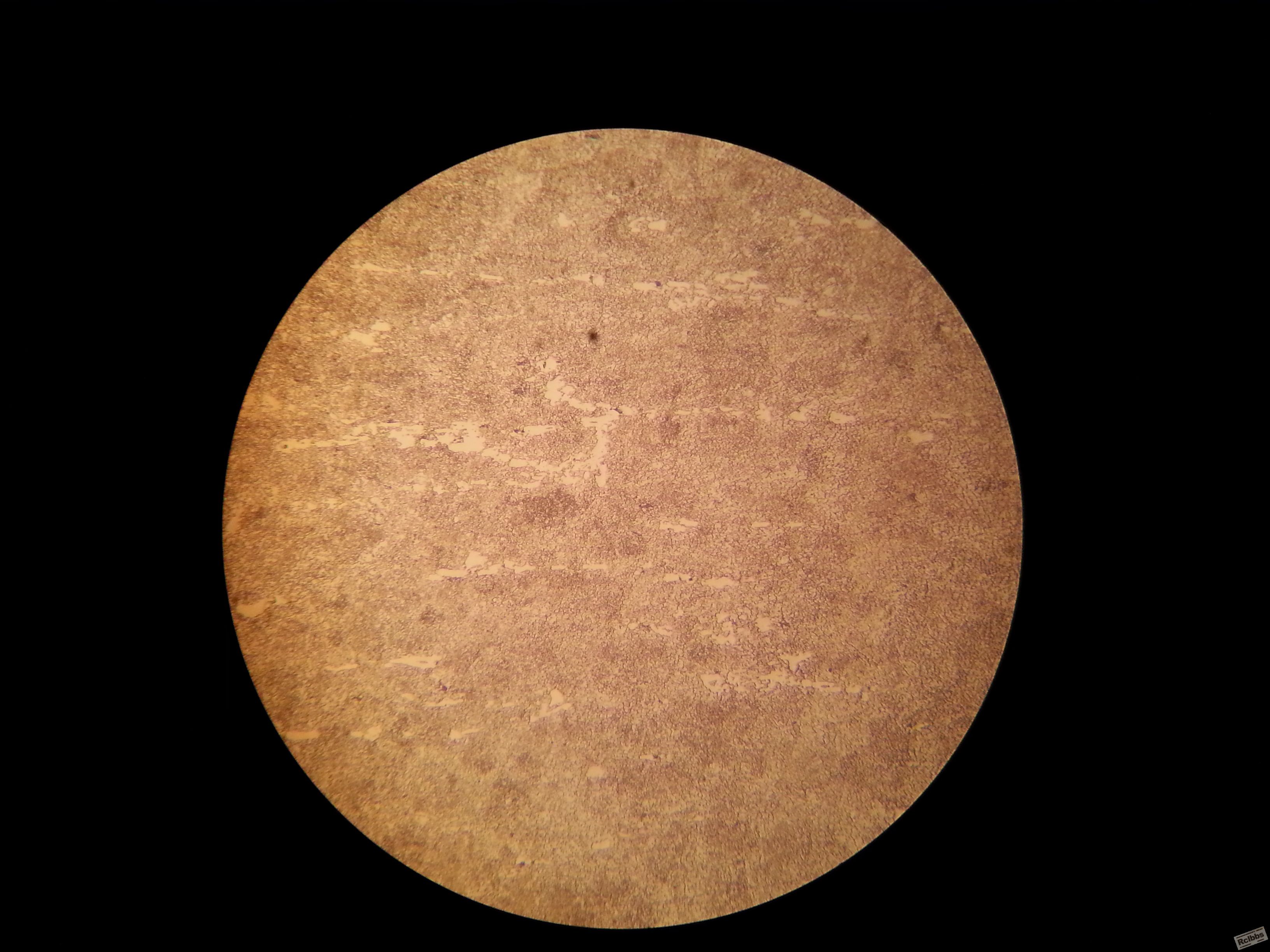 20141030_161318.jpg