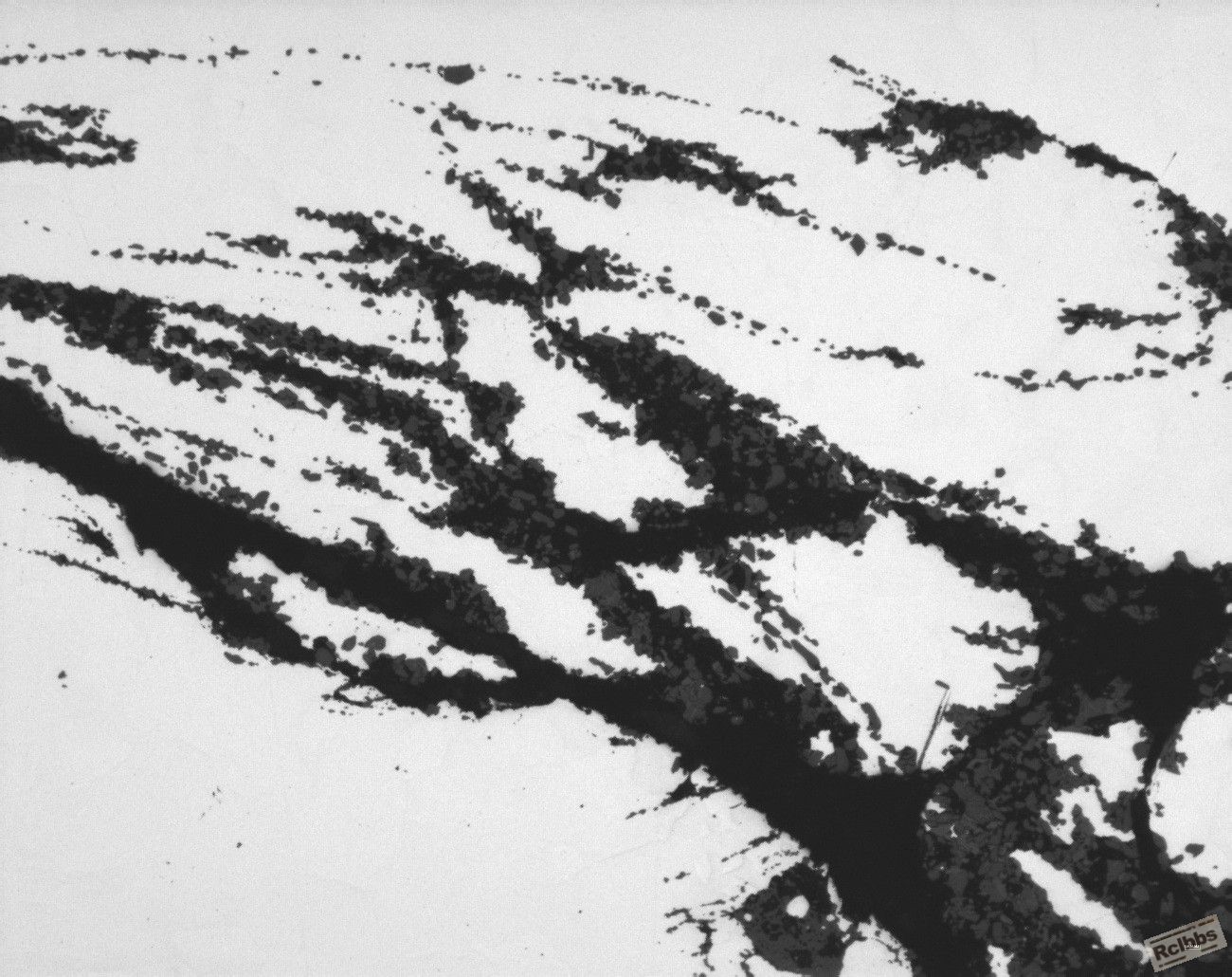 209a0200.jpg