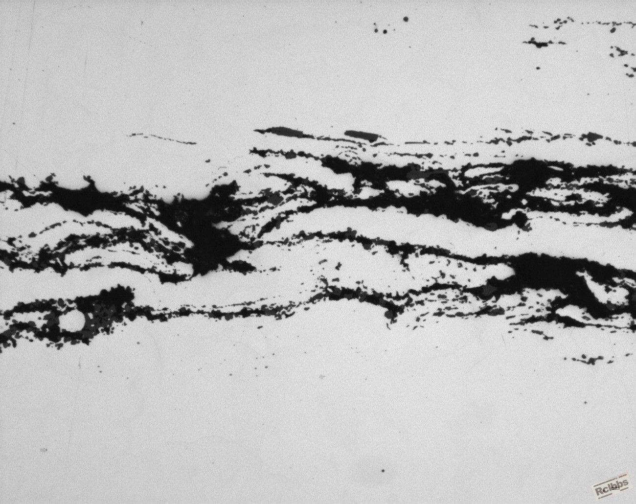 209a0203.jpg