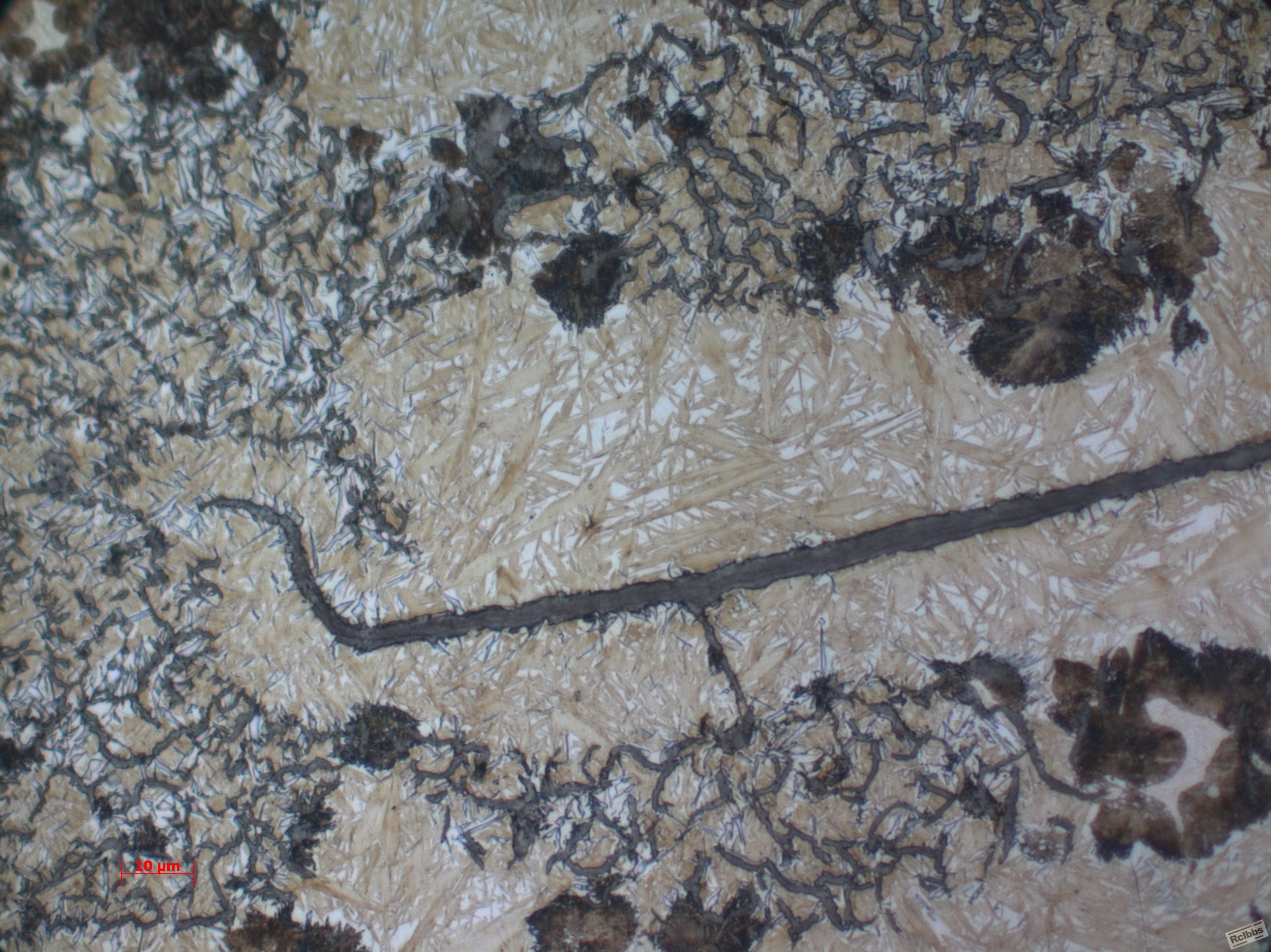 2818-1000-1.jpg