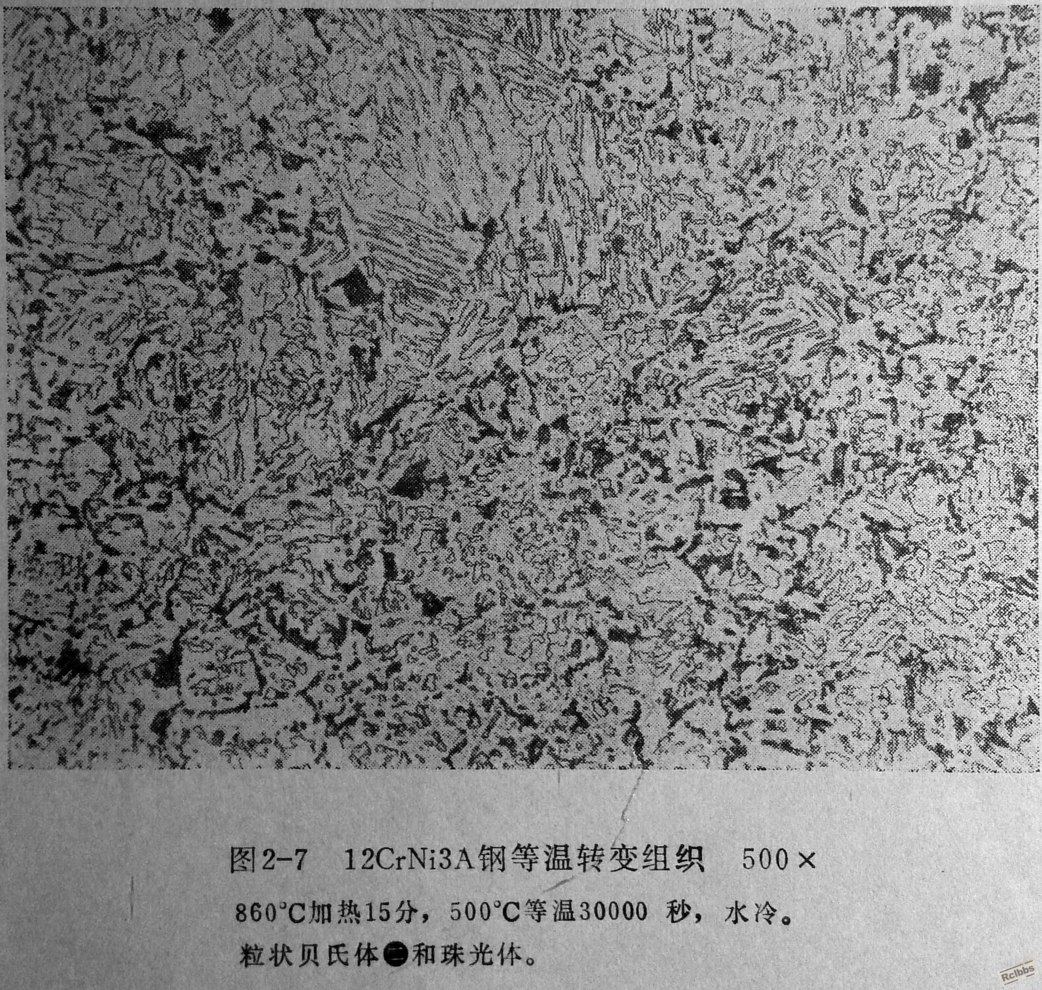 未标题-4.jpg