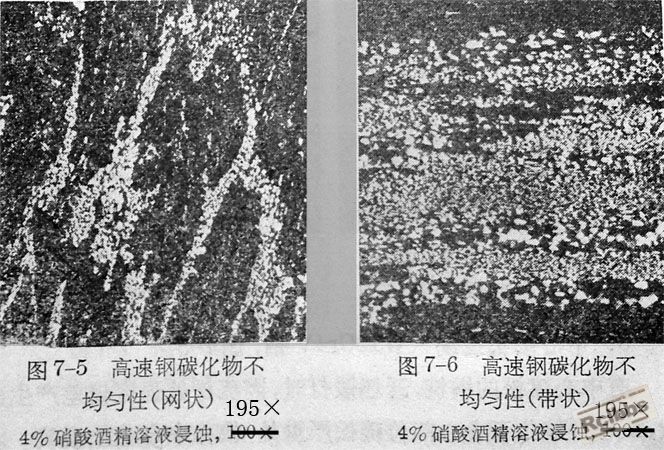5   6.jpg