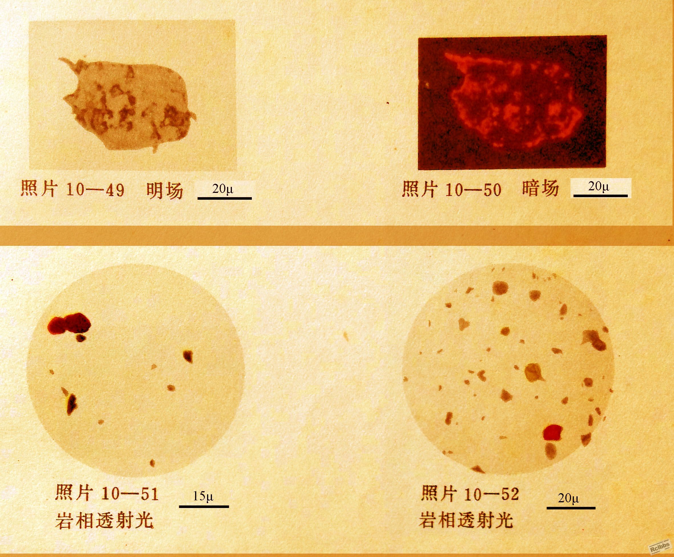 滤色片1.jpg