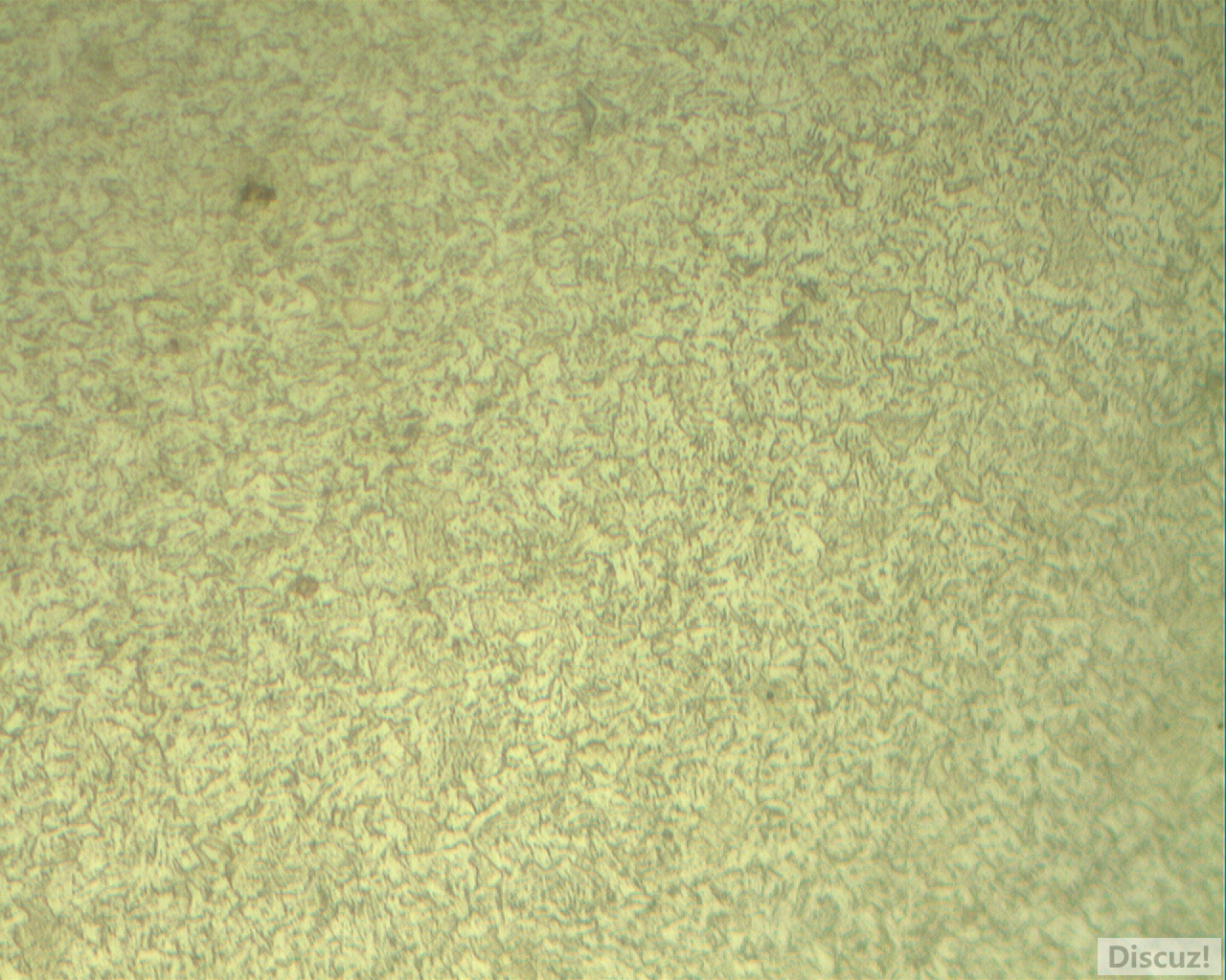 直径2.5mm