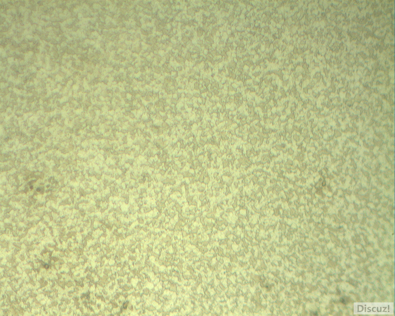 直径2.5mm退火