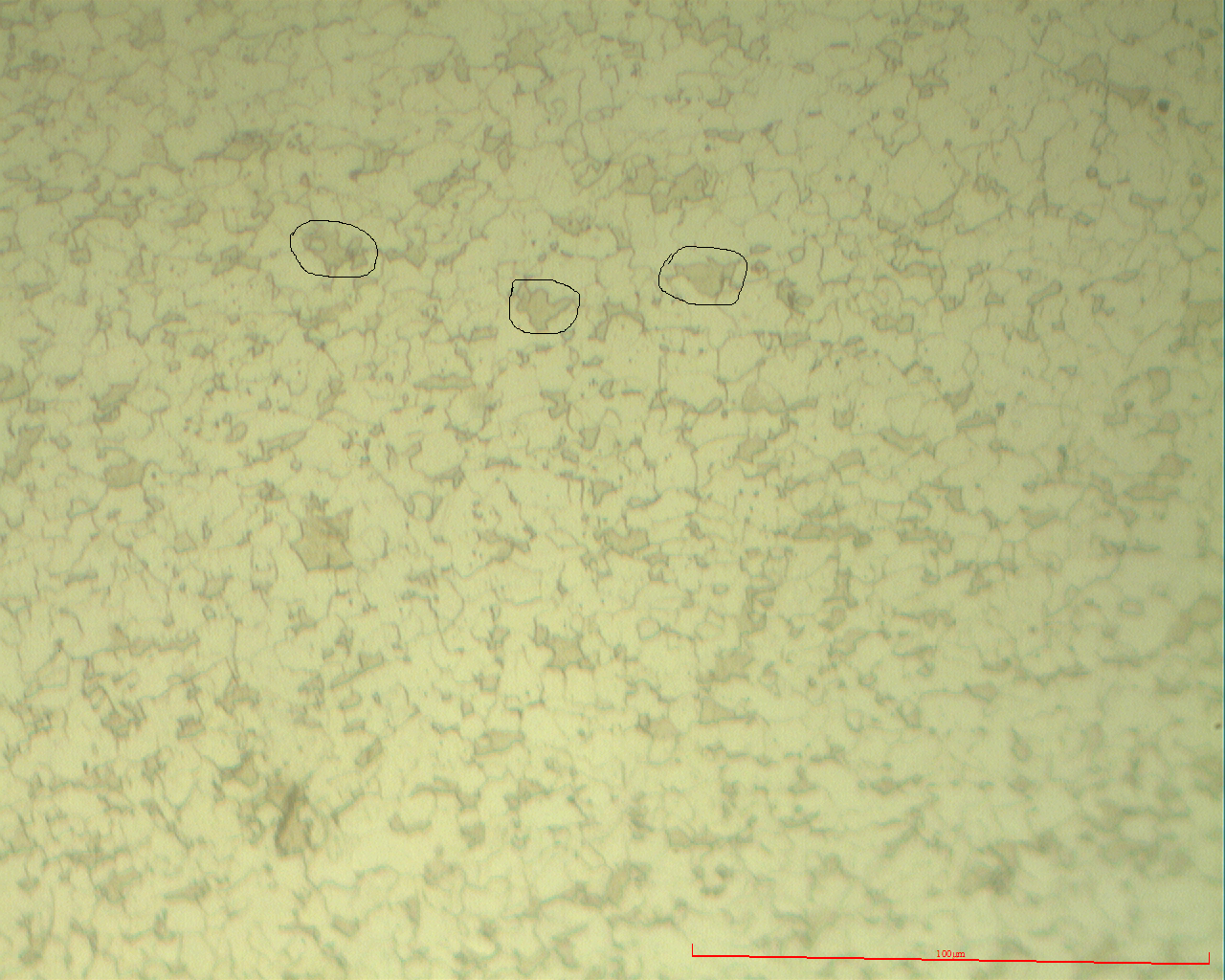 直径5.5mm