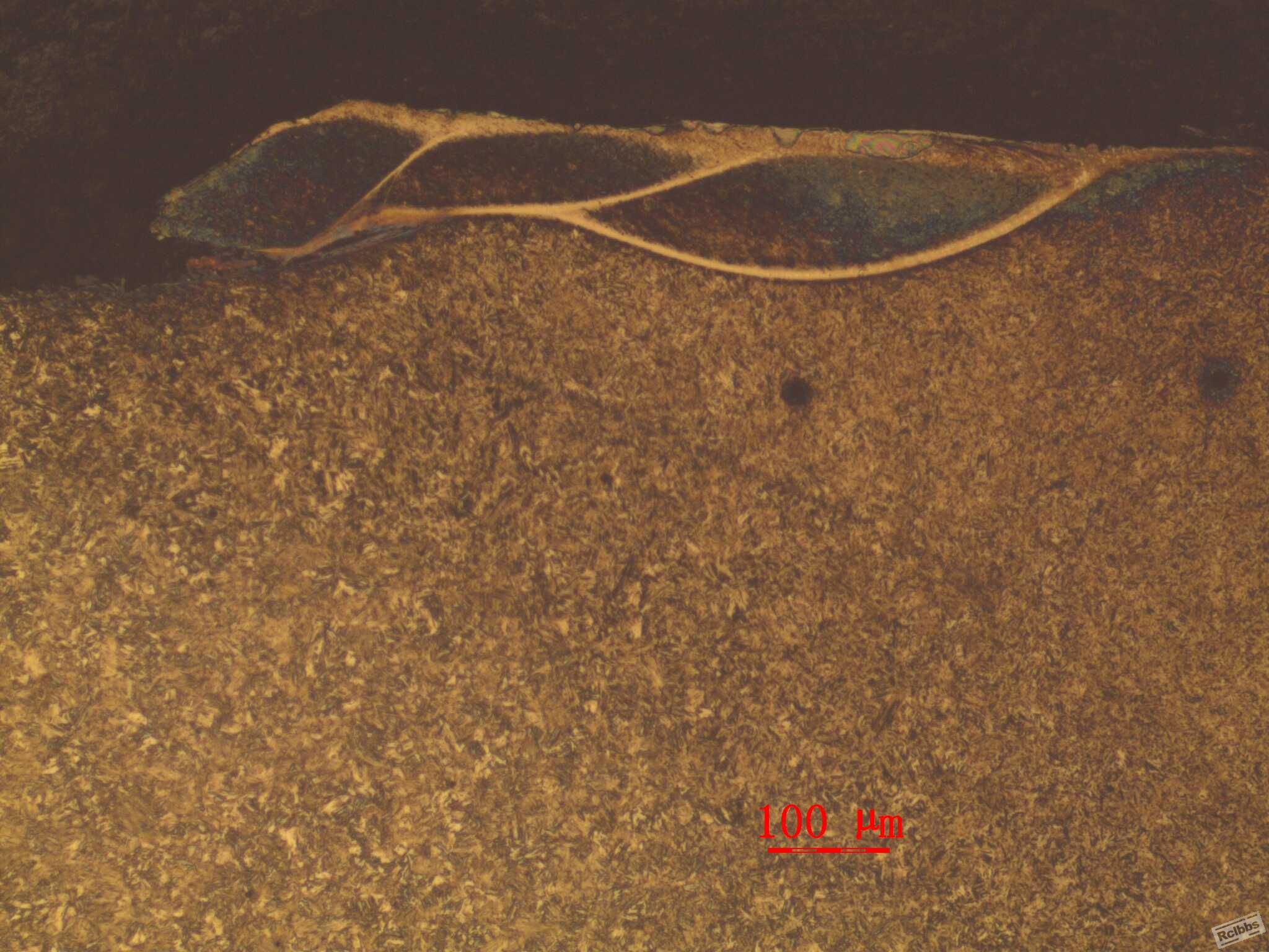 断齿处形貌-1-100-腐蚀后.jpg