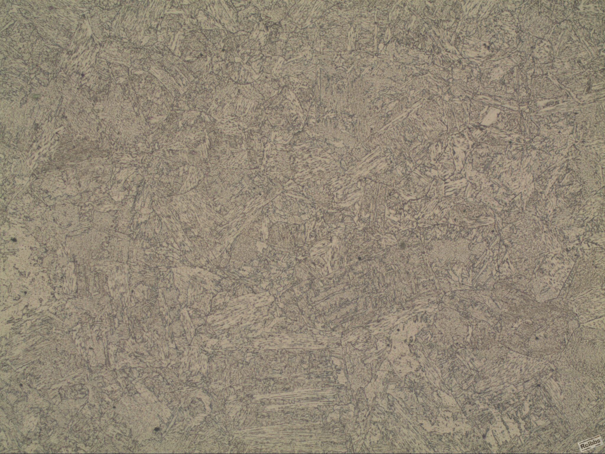 4016弯-100X.JPG