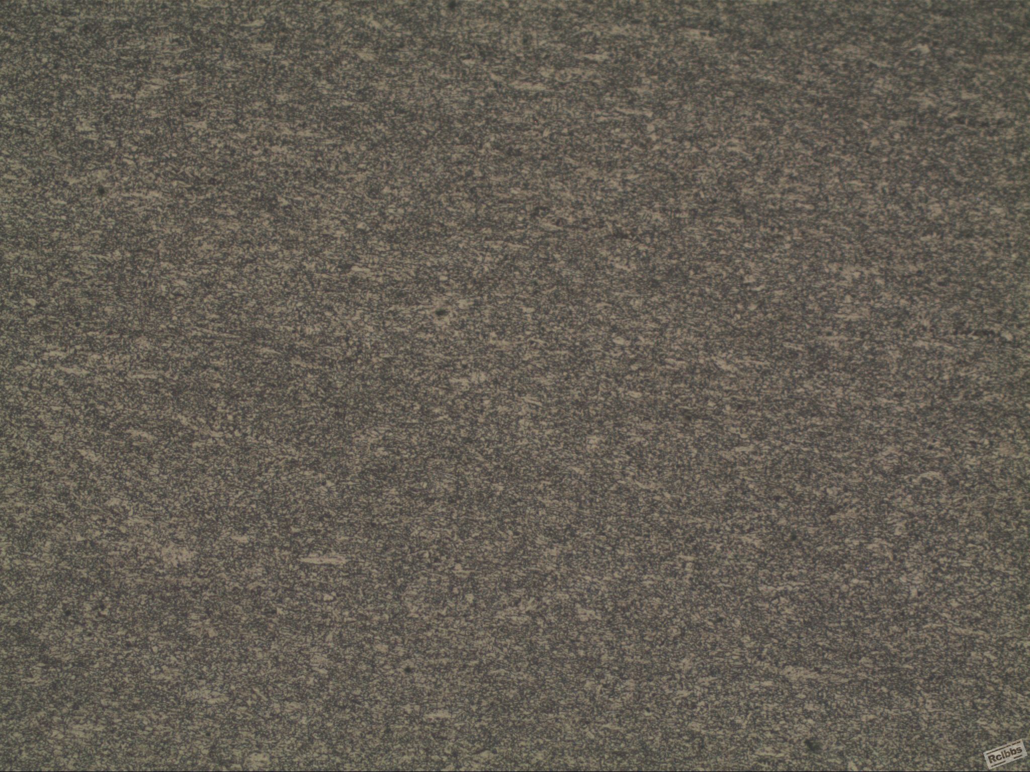 4016直-100X.JPG