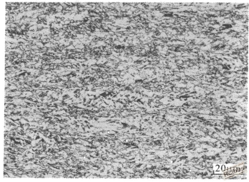 X80.JPG