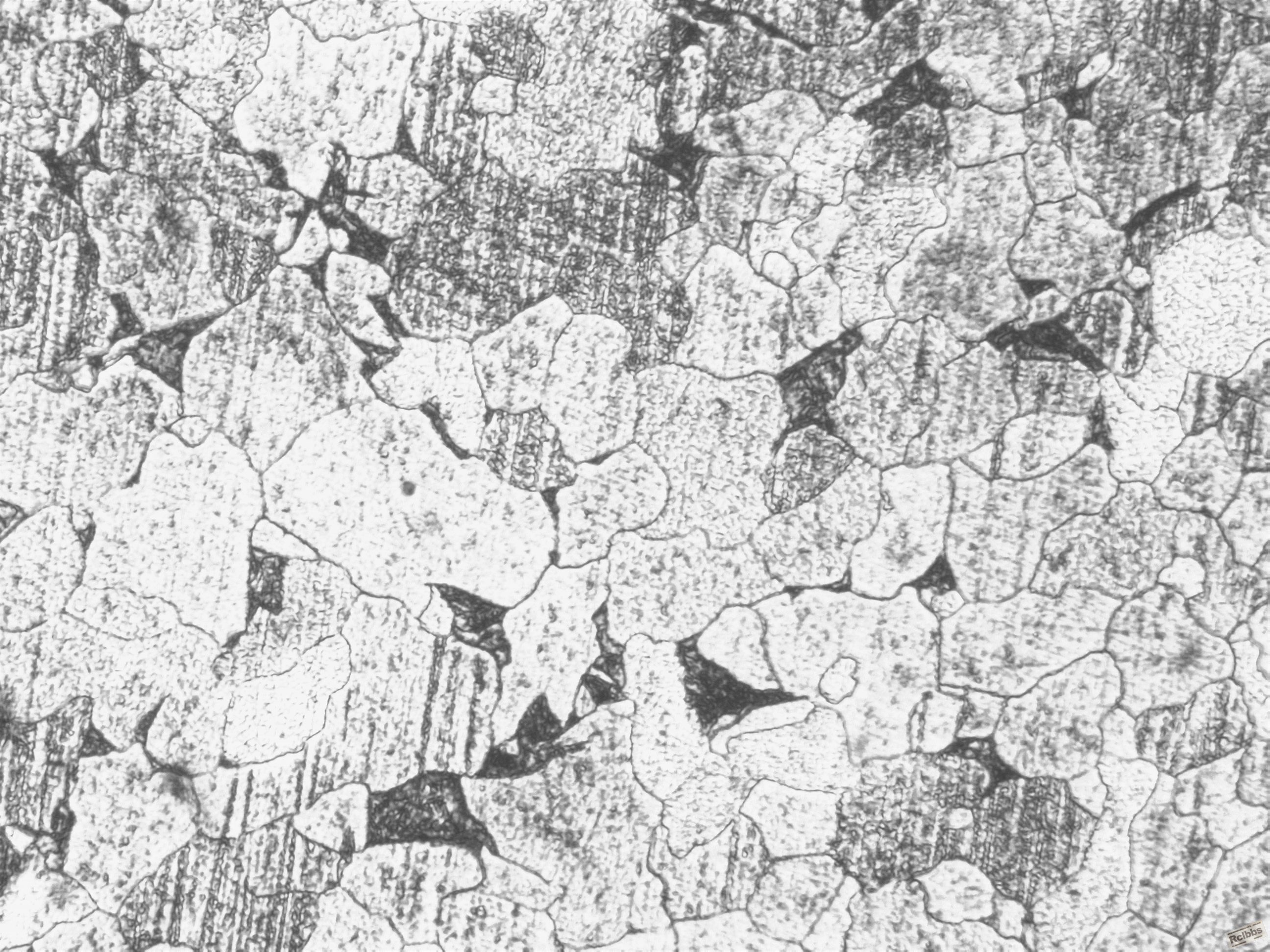 100X心部-1.JPG