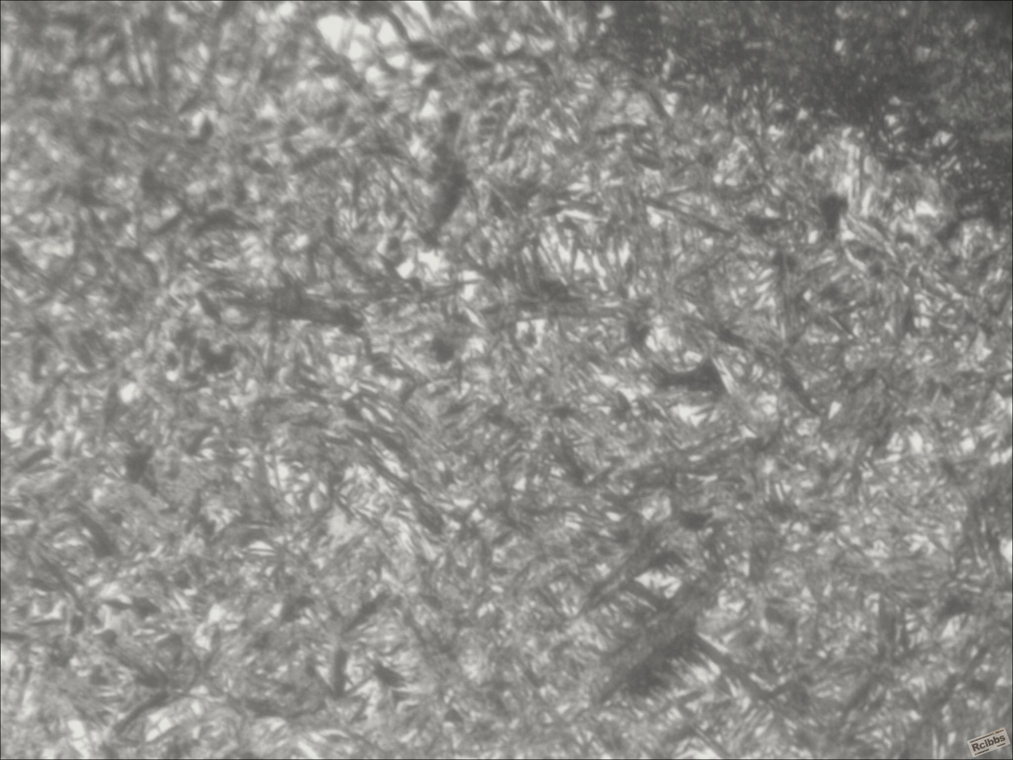 400X