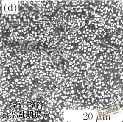 SEM 照片周期退火.jpg