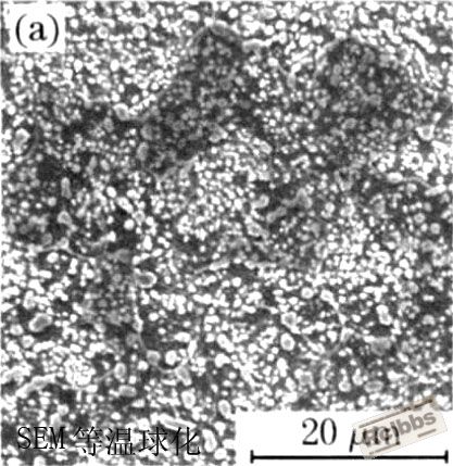SEM 照片.jpg