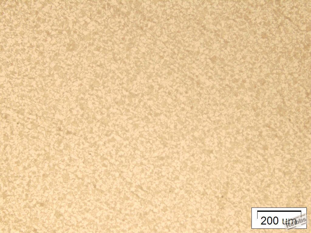 E1-100#.jpg