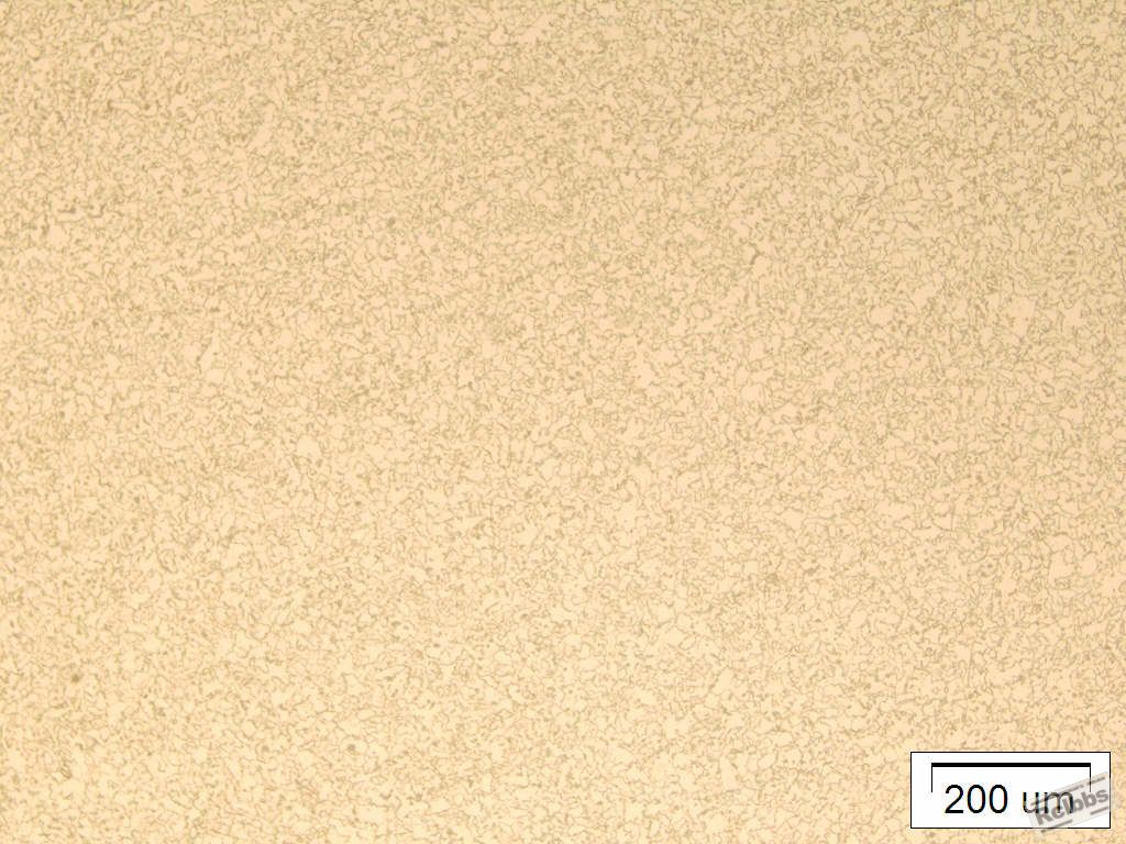 E2-100#.jpg