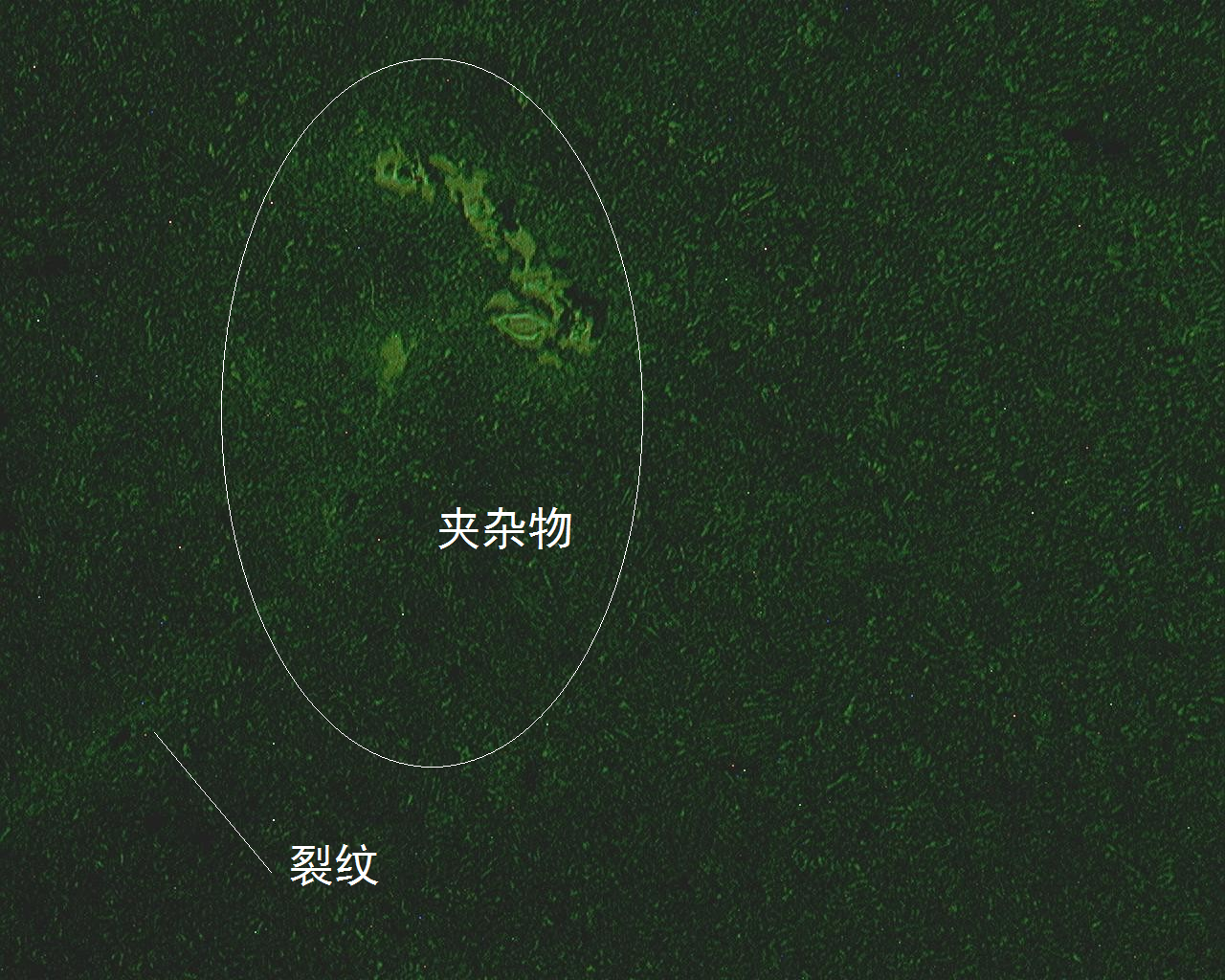 无标题.bmp
