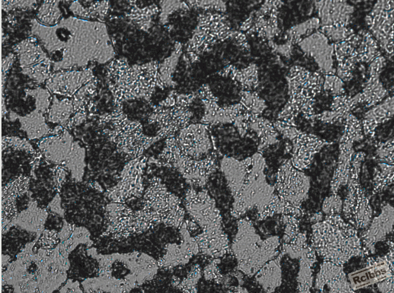 QQ截图20150121104205.gif