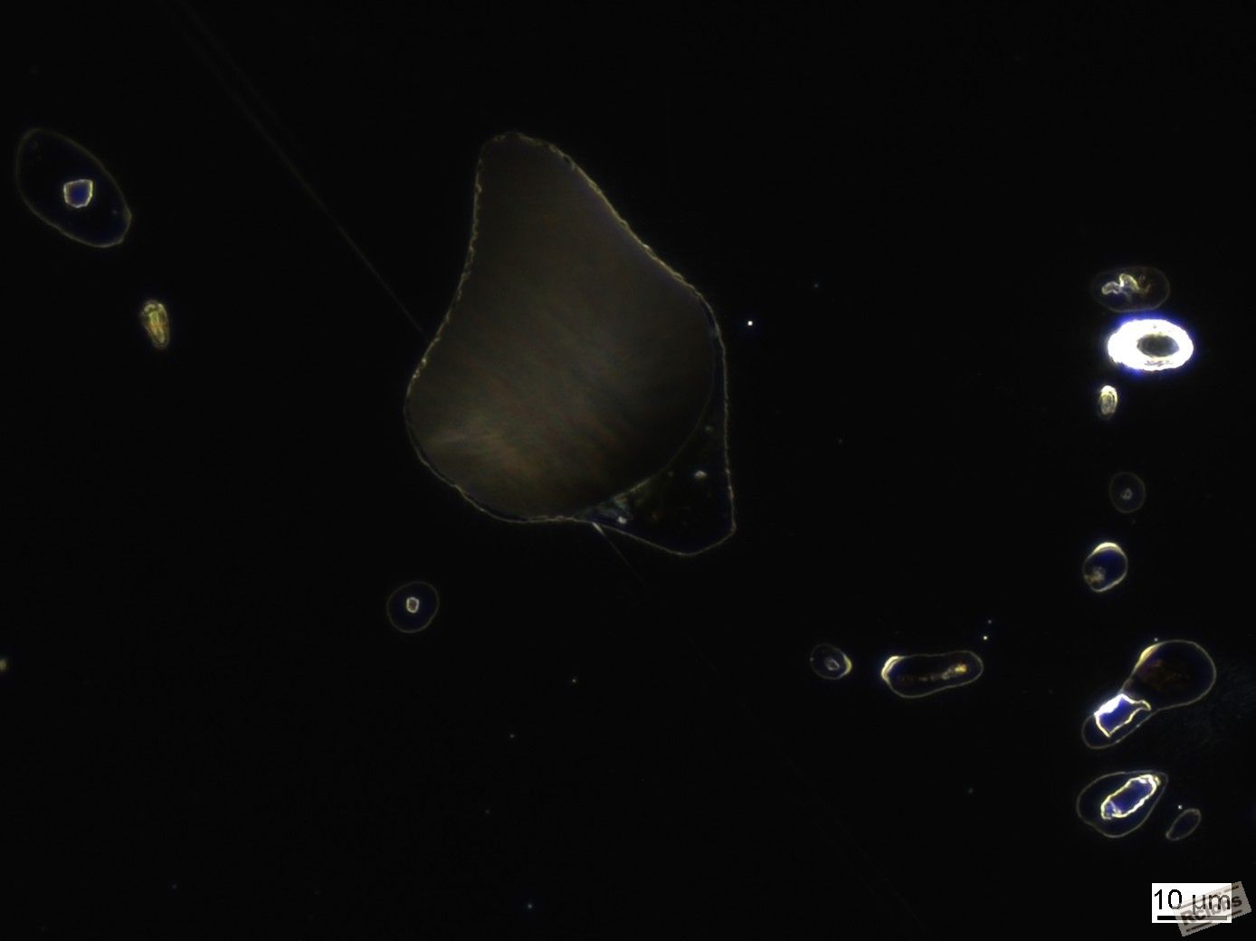 201412_001441_000064.jpg