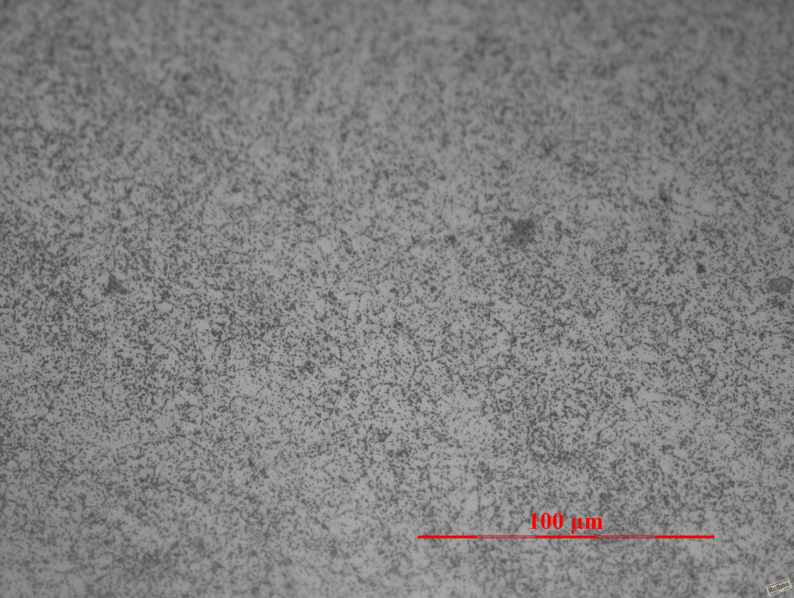 image_20130131050121_00-3.JPG