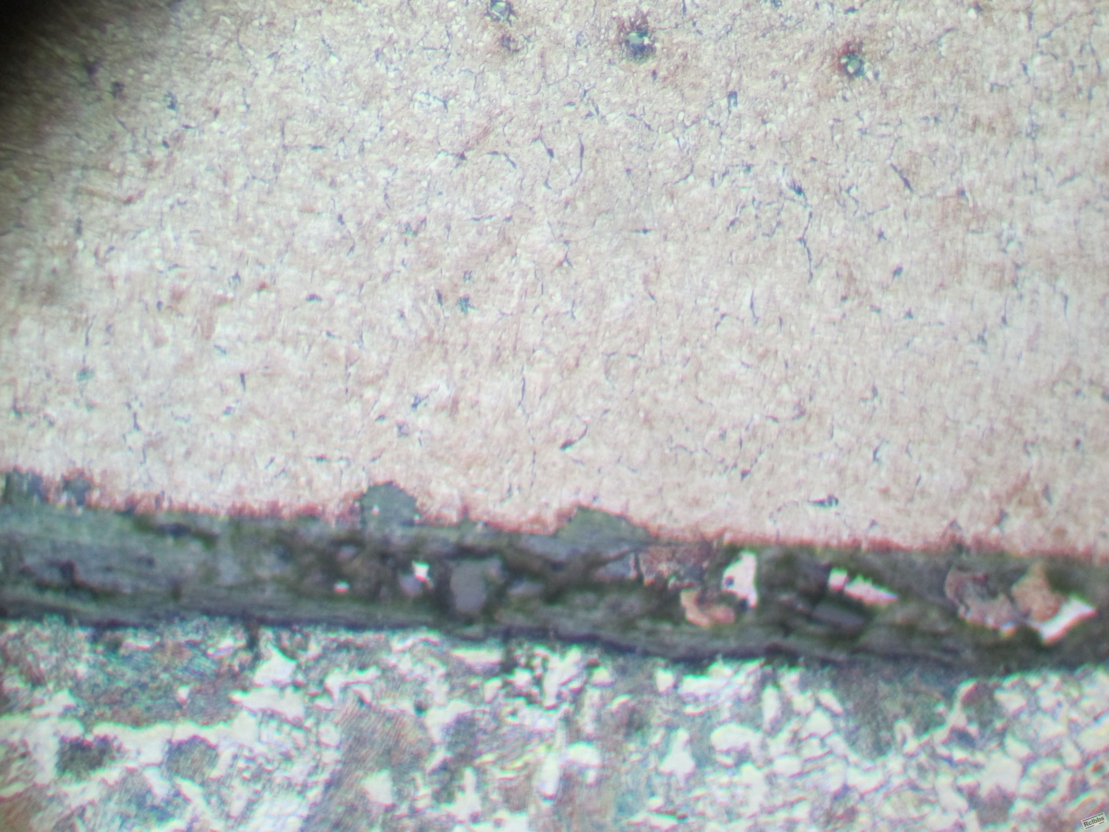 晶间氧化物1.JPG