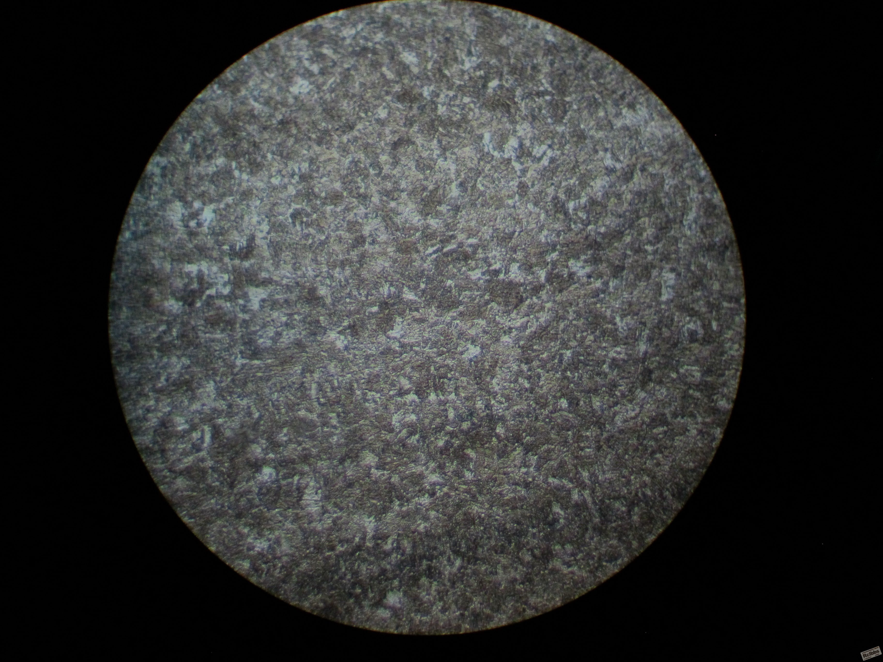 GC-11 淬火500X.JPG