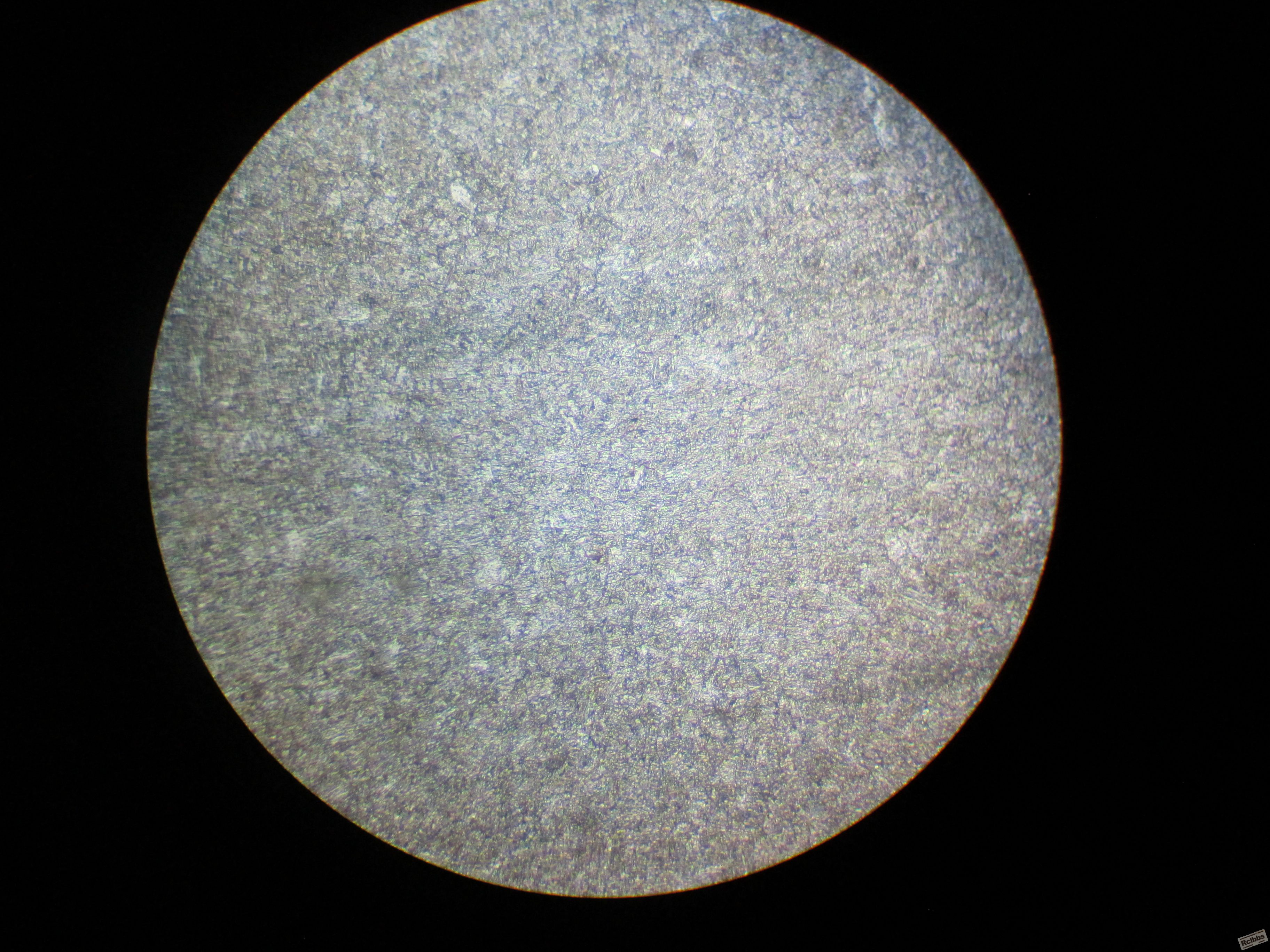 GC-11 正火500X.JPG