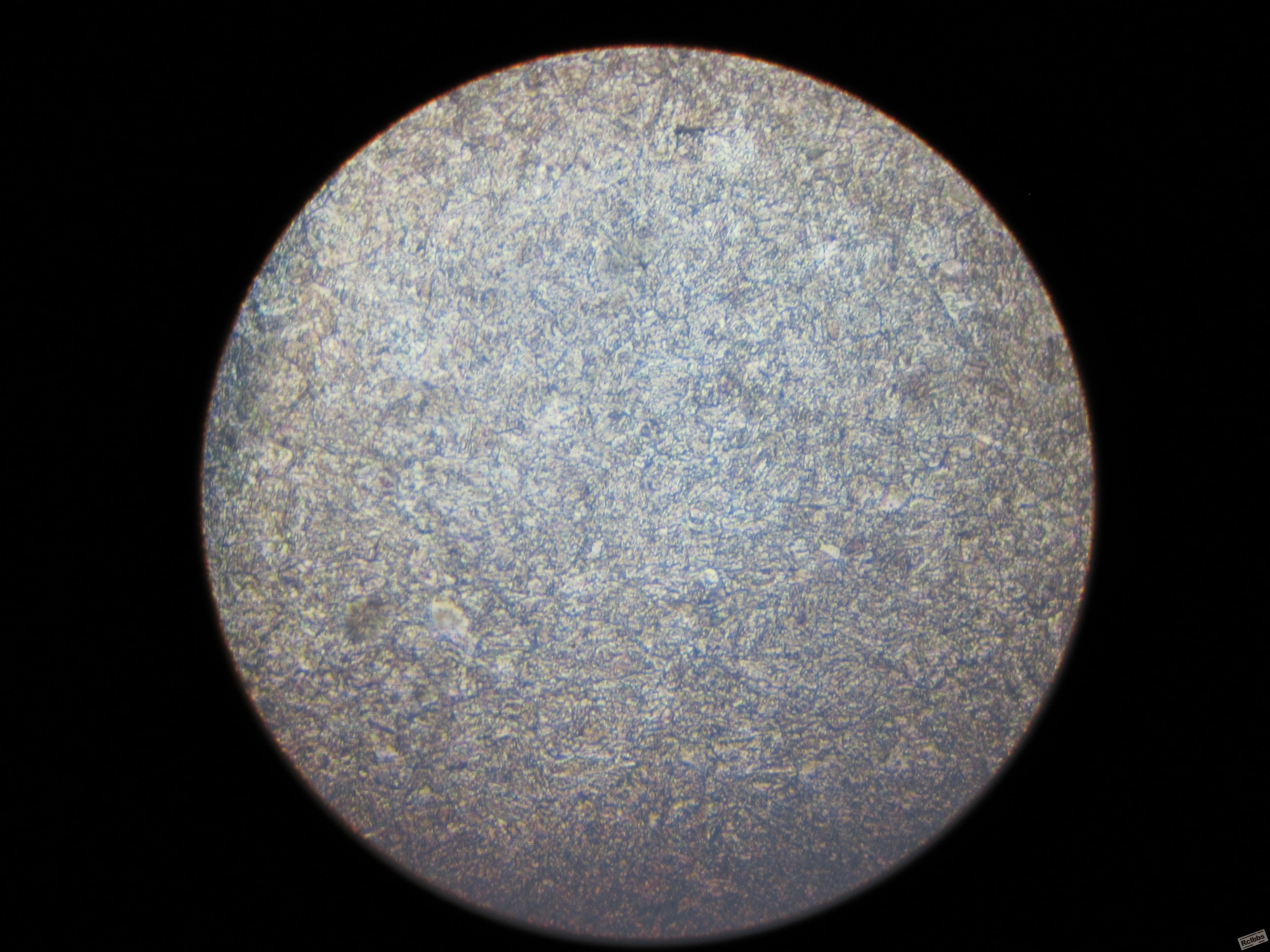 GC-11 正火 1000X.JPG