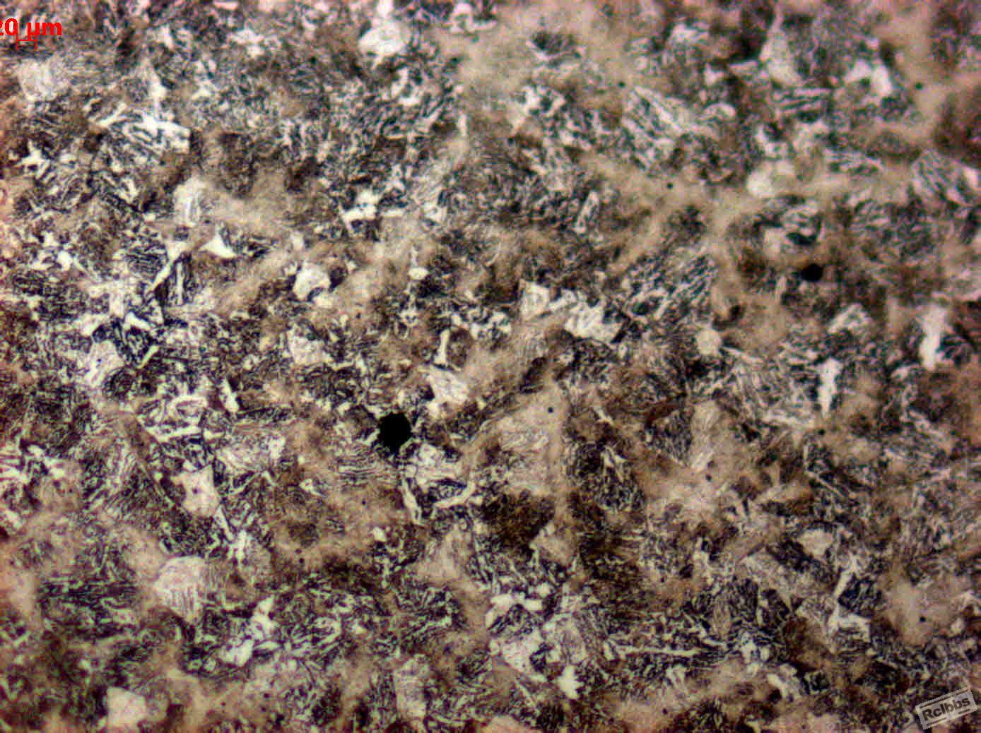 腐蚀后500X 3.jpg
