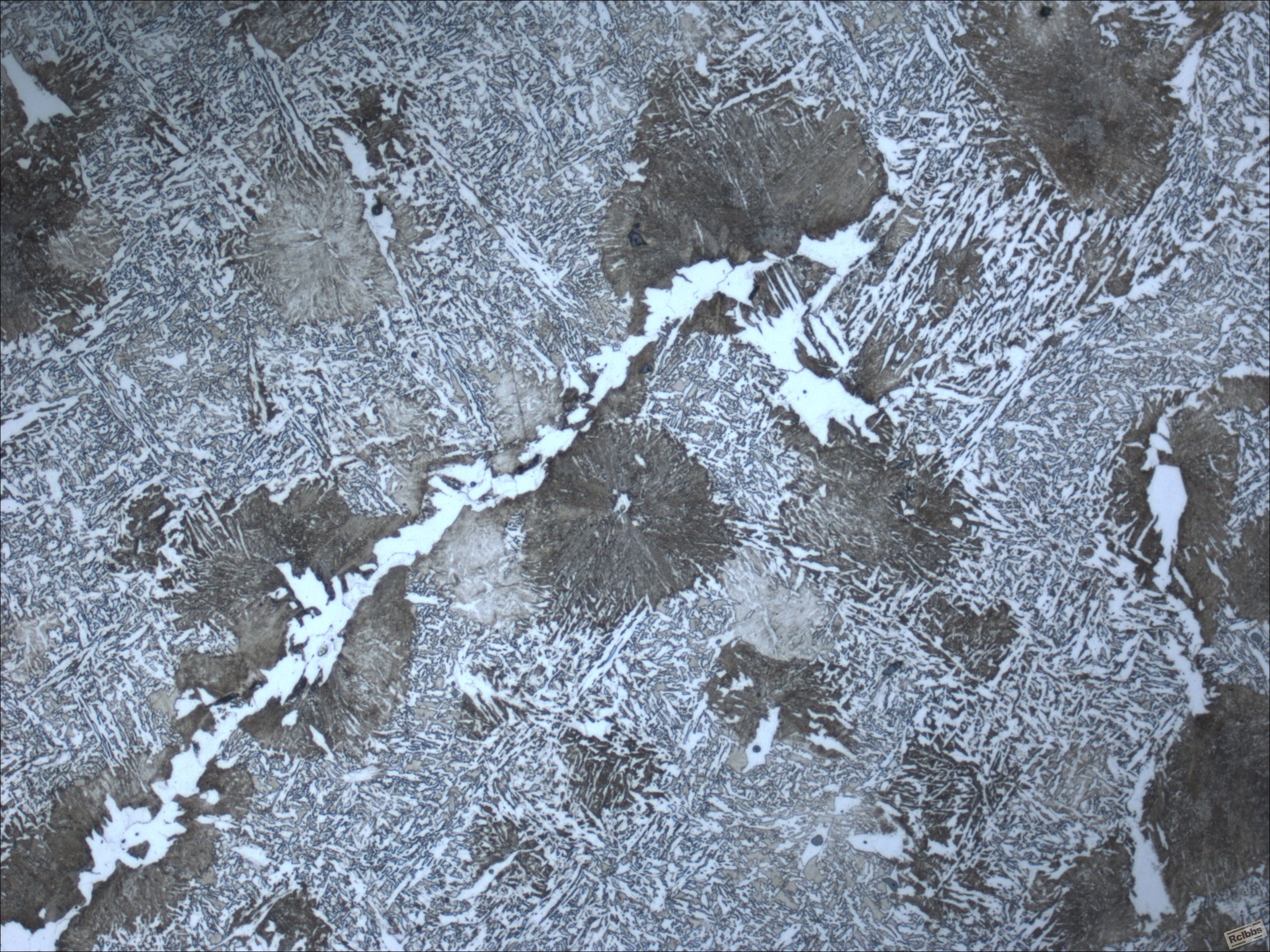 200x-1