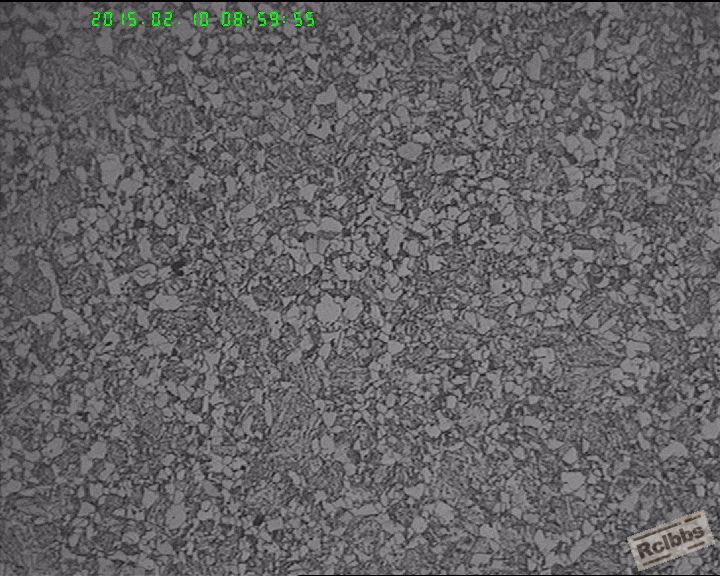 12Cr1MoVG  100X