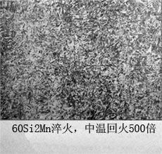 500.jpg
