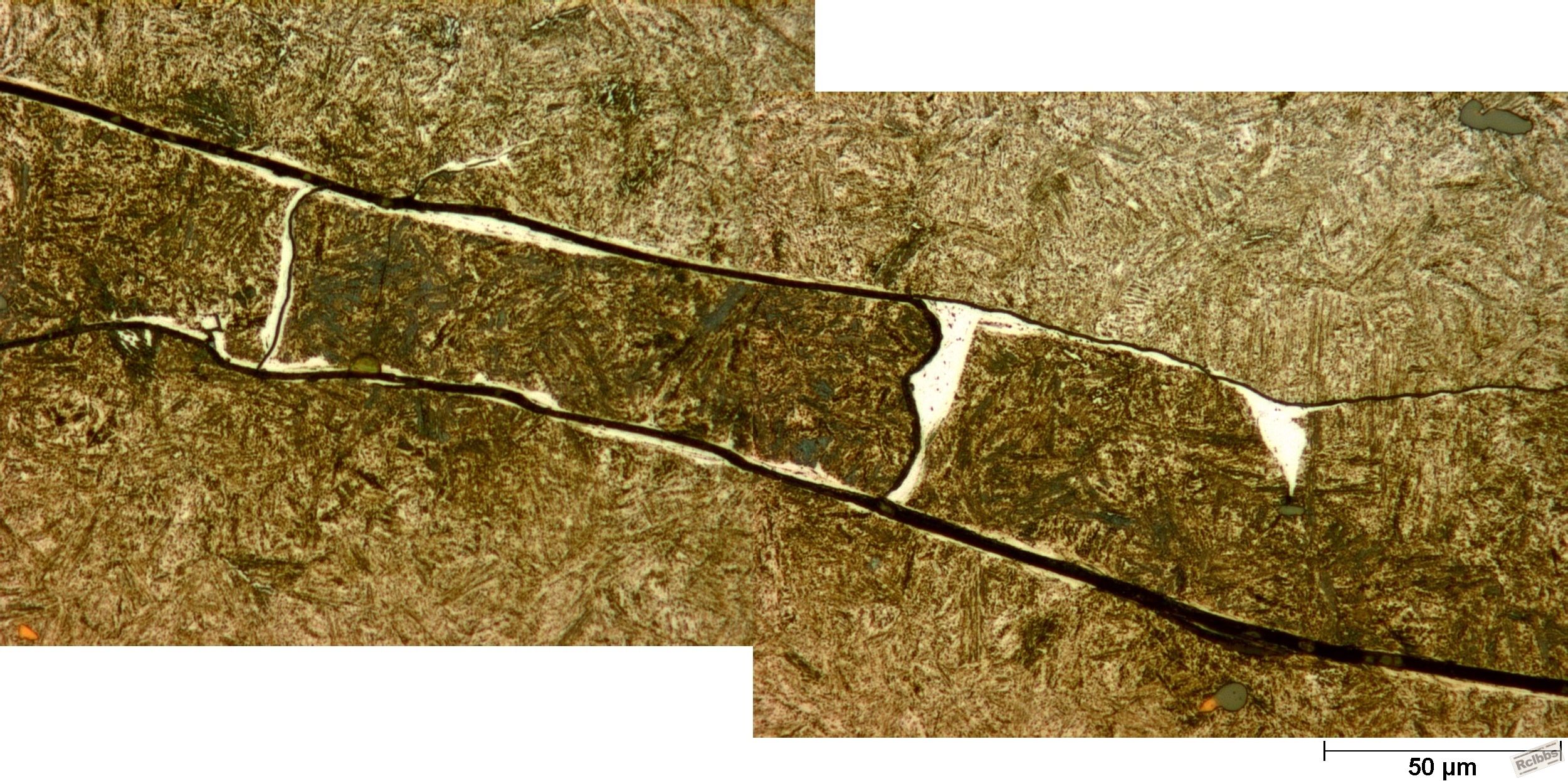 500X-1 Picral.JPG