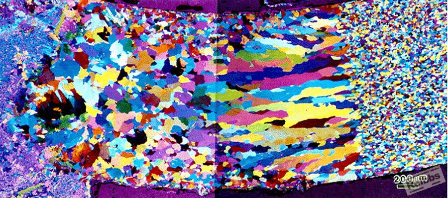 grains 1.jpg