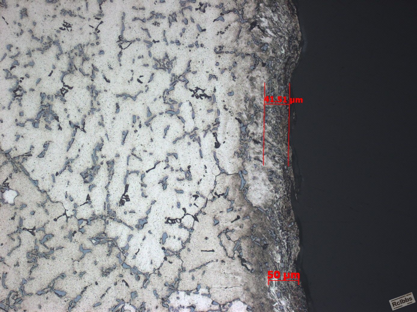 200X-2-1.jpg