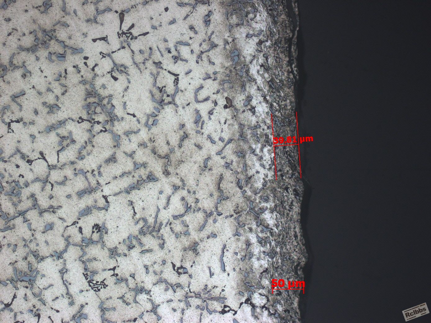 200X-5-1.jpg