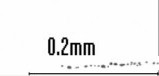 03.JPG