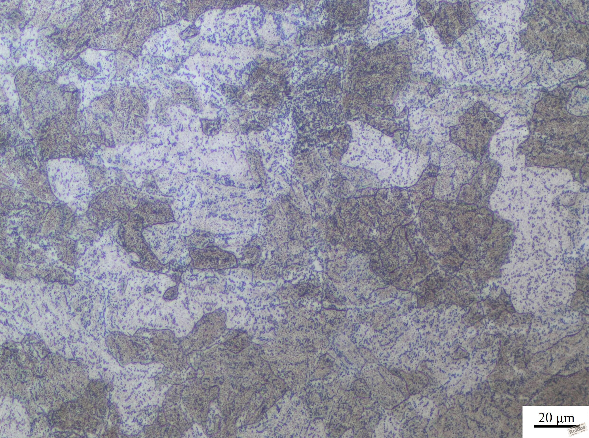 500x-1