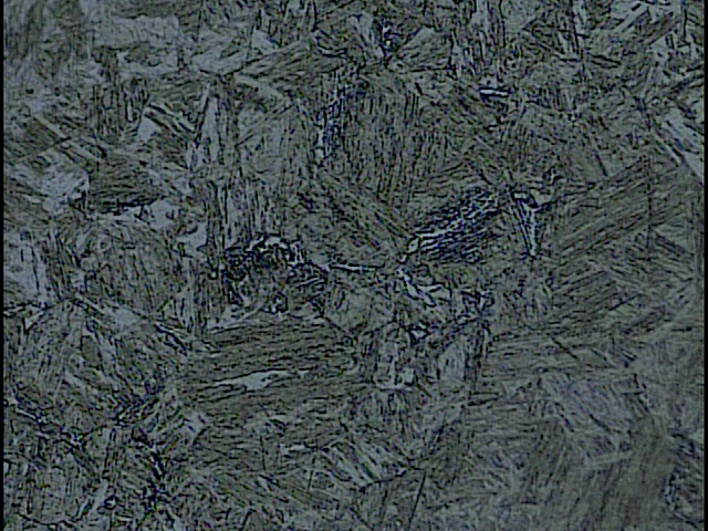 500X-1.jpg