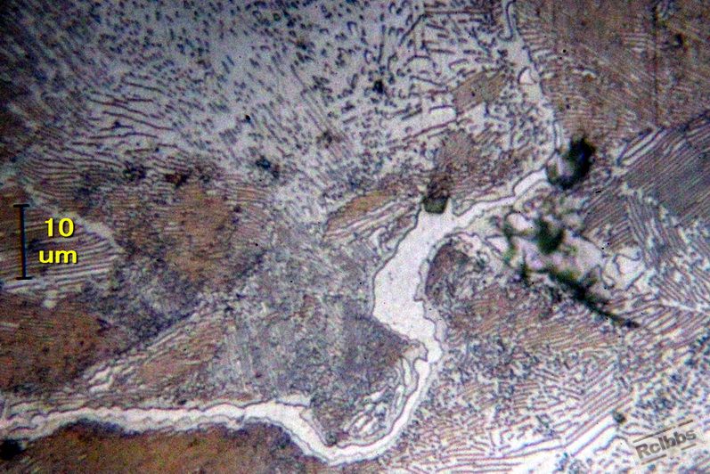 IMG_0971.jpg