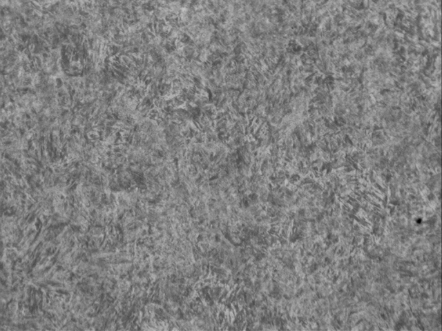 1    500X.bmp