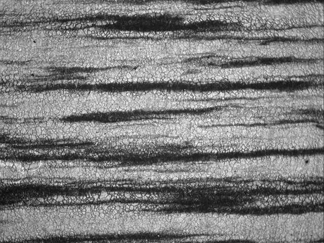 晶粒度   100X.bmp